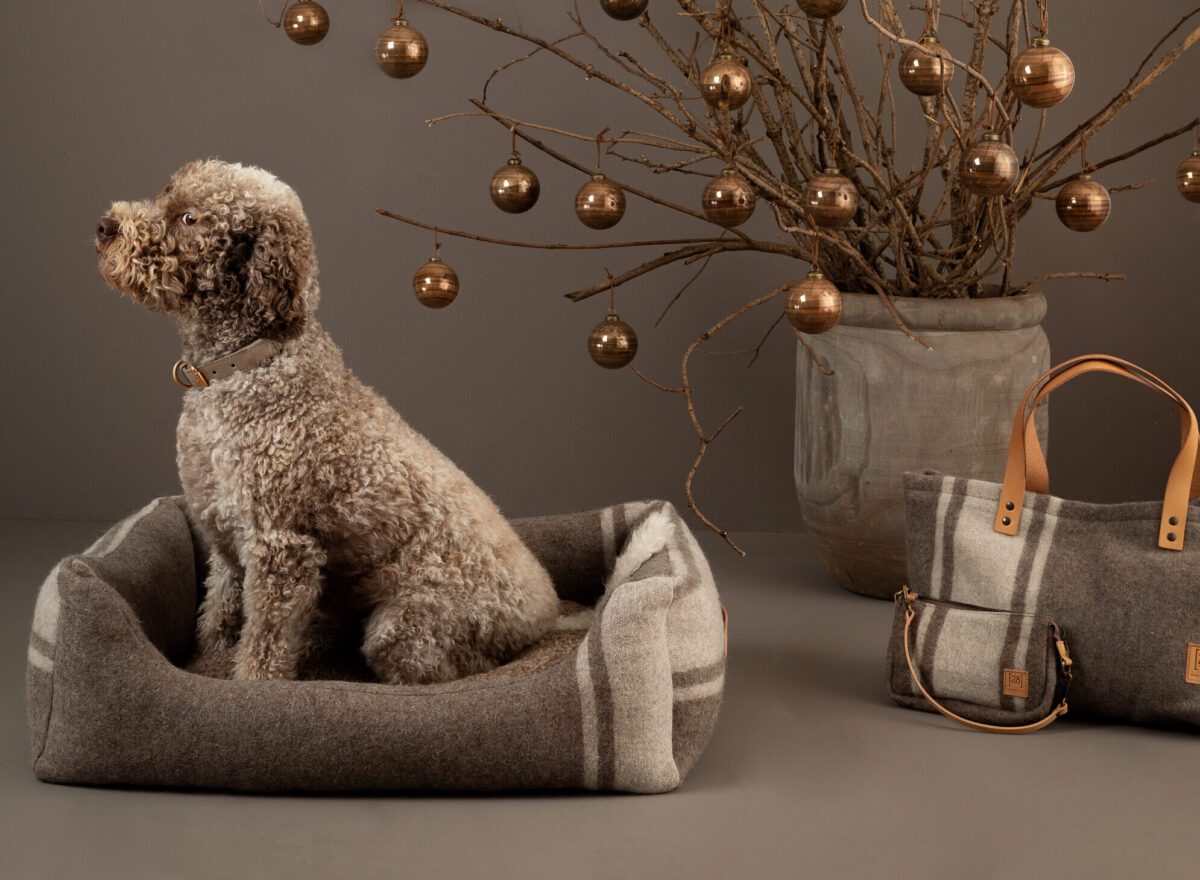 2.8 Design for Dogs lancia una collezione di accessori per cani in lana  Casentino: cucce, cuscini e borse - La Voce dei Brand