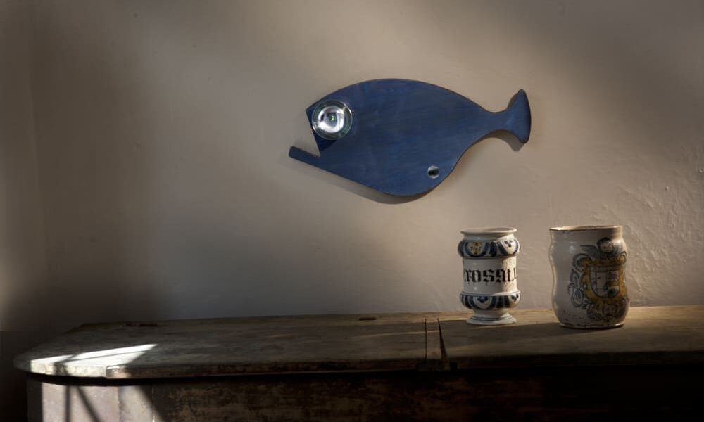 knIndustrie Pesce Fresco - Blue Fish0