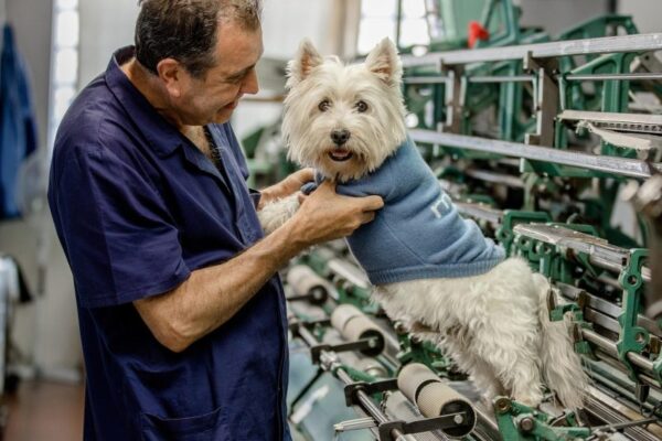 Nuova linea abbigliamento cani Malo for Dog MOG