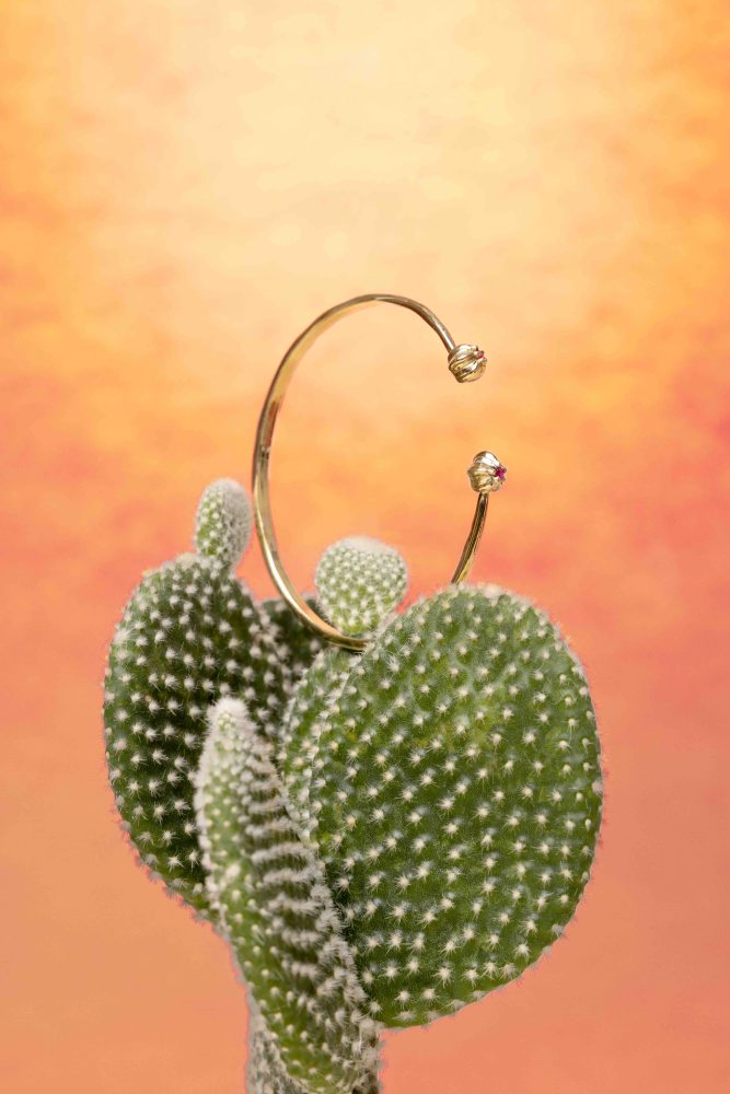 La nuova Cactus capsule collection di Bona Calvi si ispira al film statunitense “Cactus Flower” 