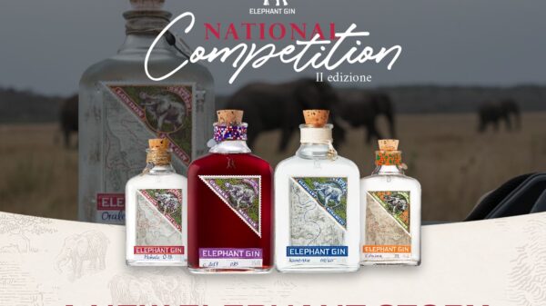 Bartendind_gara_Elephant_Gin_National_Competition_2024