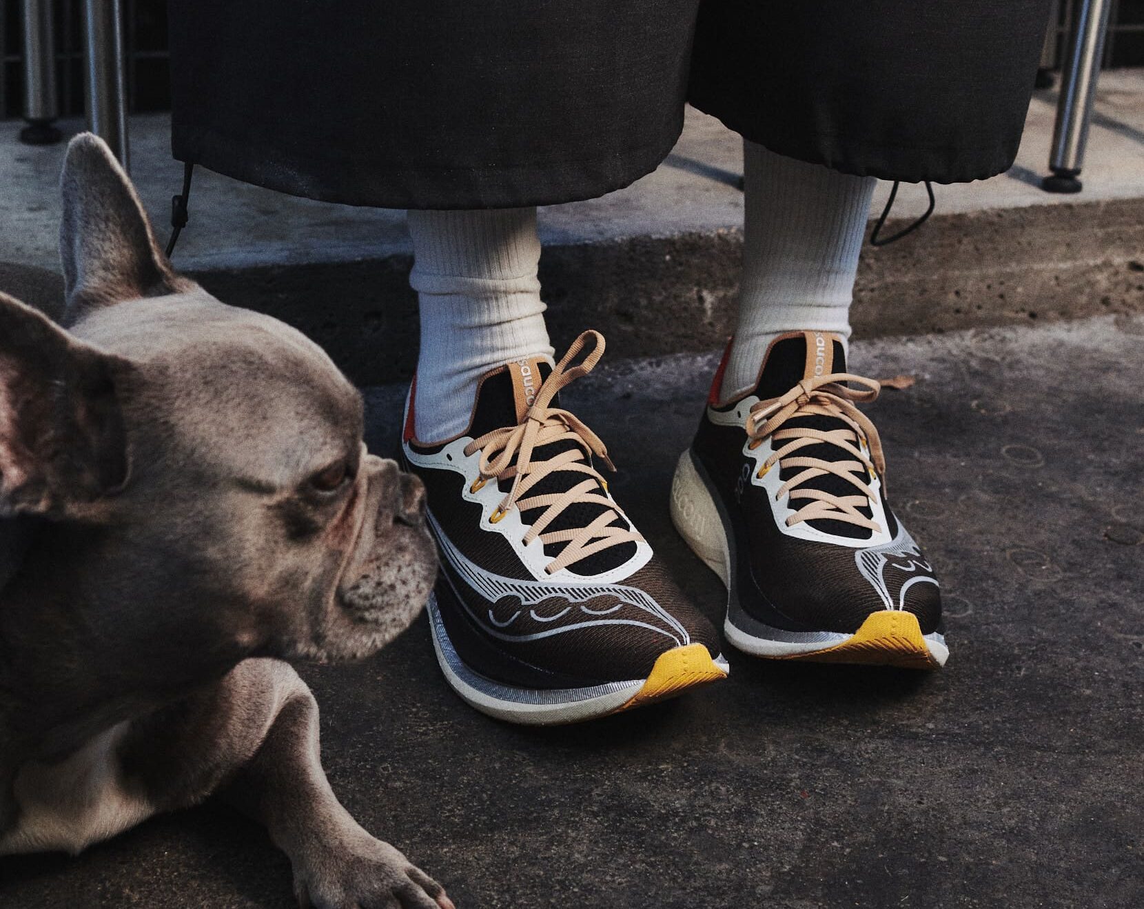 Endorphin Pro 5 Saucony x Highsnobiety marroni, indossate con pantaloni neri e calze bianche, accanto a un cane.